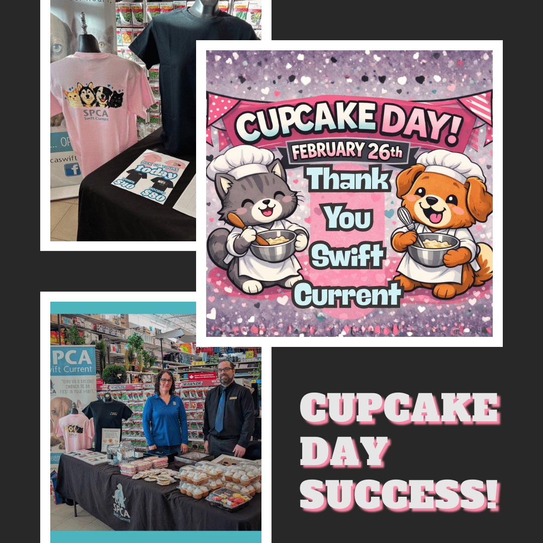 David Zammit, Marissa Wolfe, and Kate Andriushyn pose with the grand total for the 2024 Radiothon, $46,860.