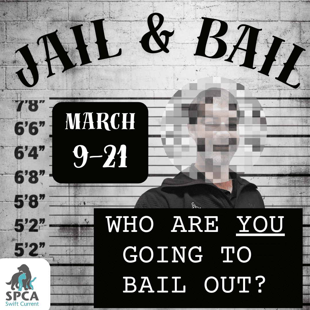 David Zammit, Marissa Wolfe, and Kate Andriushyn pose with the grand total for the 2024 Radiothon, $46,860.